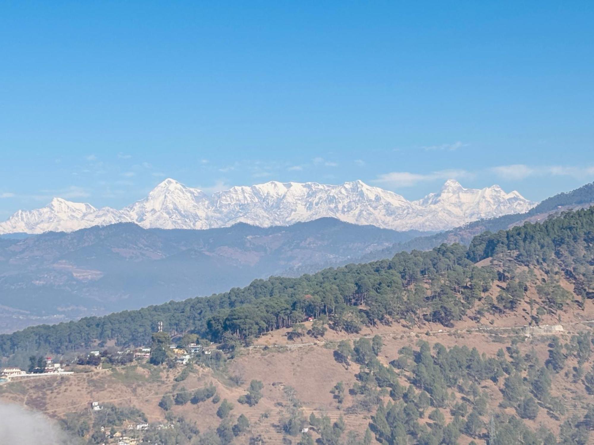 Panchwati Farms